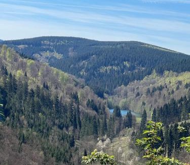 Brilon-Wald Apartment | YALET Ferienhaus 2 appartementen vlakbij Willingen