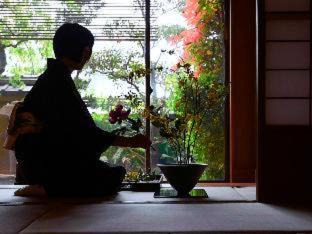 Dogo Hot Spring Hotel | Yamatoya Besso