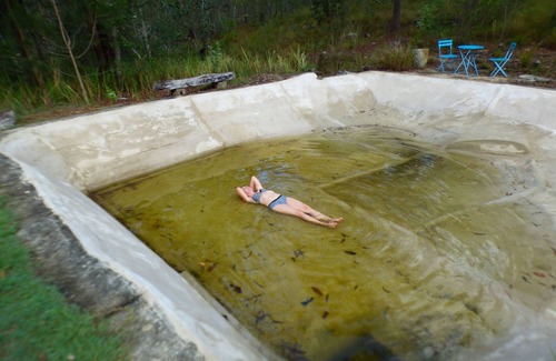 Gurranang House | Yamba Hinterland bush retreat - Magic bus stay