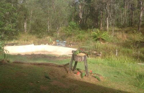 Gurranang House | Yamba Hinterland bush retreat - Magic bus stay