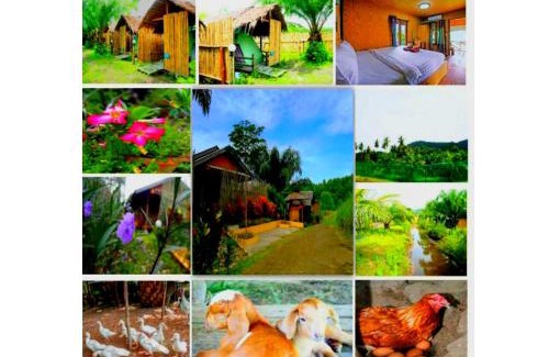 Ko Yao Resort | YaoIsland Resort and Farm