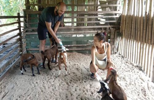 Ko Yao Resort | YaoIsland Resort and Farm