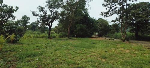 Khalapur House | Yashodhan Framhouse