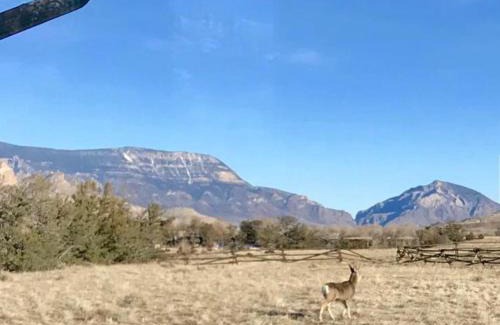 Cody Hotel | Yellowstone Cutthroat Guest Ranch
