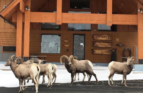 Gardiner Hotel | Yellowstone Village Inn and Suites