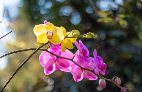 Shoufeng House | Yishin Garden B&B