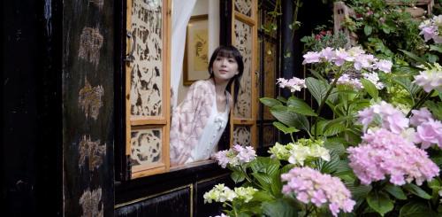 Dayan Old Town Hotel | Yiyuan Snow Mountain View Historical Naxi House - Lijiang Old Town Mufu branch