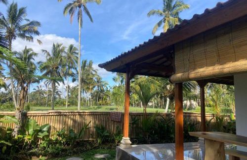 Taro House | Yoga's House Taro