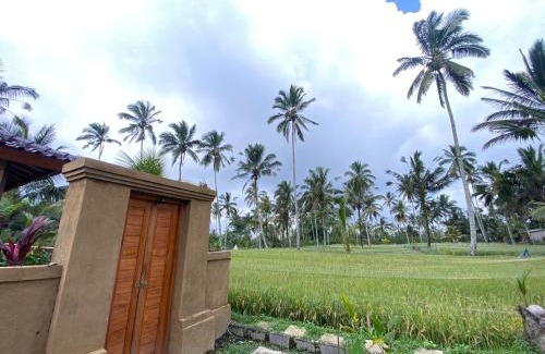 Taro House | Yoga's House Taro