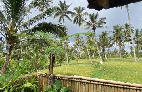 Taro House | Yoga's House Taro