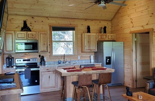 Whittier Cabin | You found the one! 13 mi to WCU, 8 mi to Casino! Dog friendly & HOT TUB! tubing