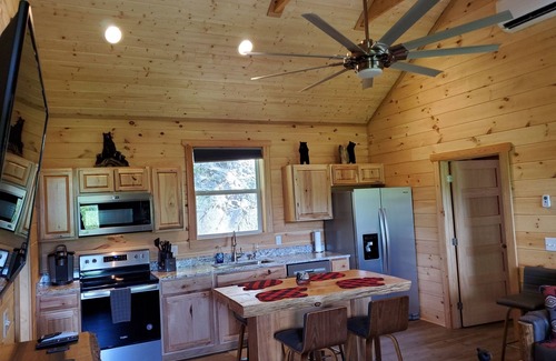 Whittier Cabin | You found the one! 13 mi to WCU, 8 mi to Casino! Dog friendly & HOT TUB! tubing