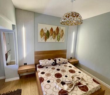 Sheqi i Vogel Apartment | Your home Fier 1