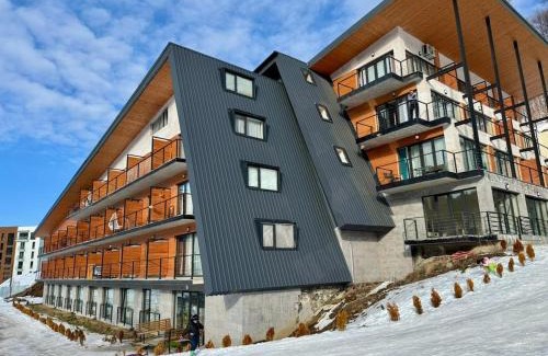 Bakuriani Apartment | Your Perfect Ski Base in Bakuriani
