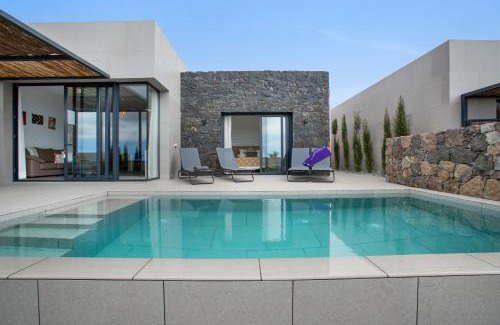 San Bartolome de Tirajana Villa | Yucas Villa 13