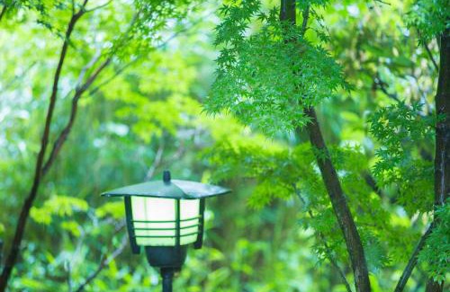 Yufu Cabin | Yufuin Tsukahara Kogen Sanso Donguri