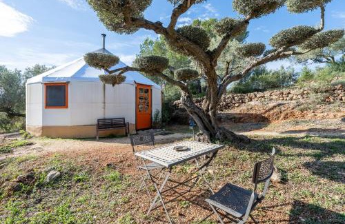 Camarles Other | Yurta Mongola Delta del Ebro