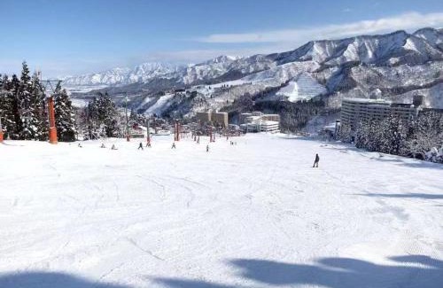 Yuzawa-machi Bed & Breakfast | Yuzawa YUKITORA 雪虎