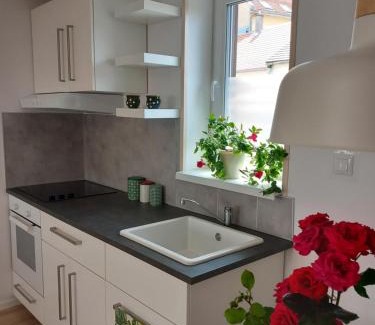 Kaposvar Apartment | Zárda utcai Apartman