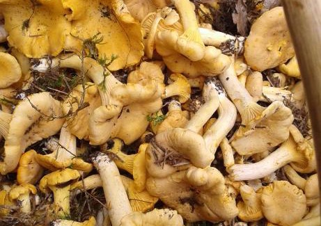 Wydminy House | Zacisze na Mazurach