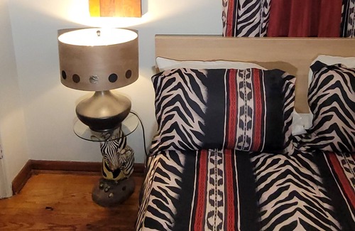 University City House | Zaire's Safari Palace 3 bedroom family friendly home!