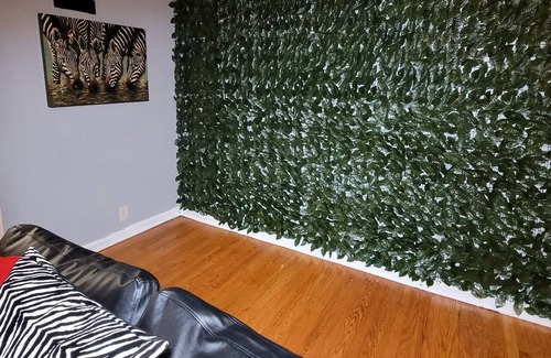 University City House | Zaire's Safari Palace 3 bedroom family friendly home!