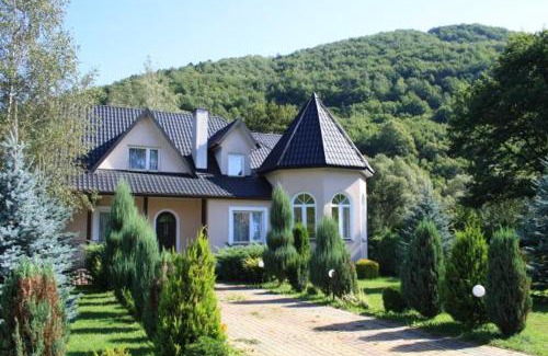 gmina Parzeczew Villa | Zamek
