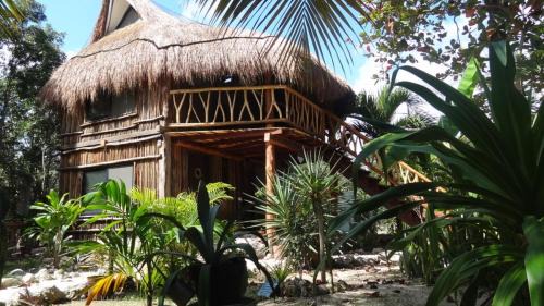 Tulum City Center Hotel | Zamunda Garden View