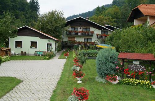 Zrece Apartment | Zeleni apartma Zreče