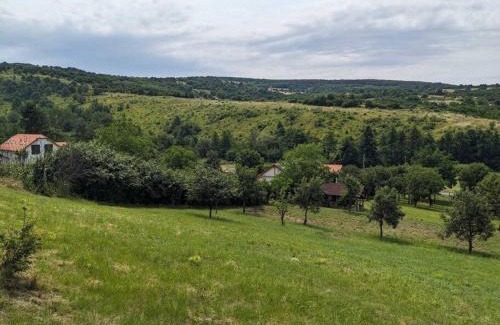 Abaujalpar House | Zemplén Cottage (breakfast&Tokaj wine tour)