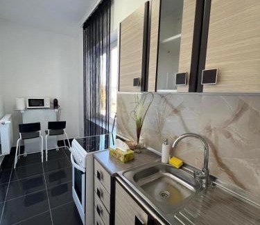 Satu Mare Apartment | Zen Apartment 4