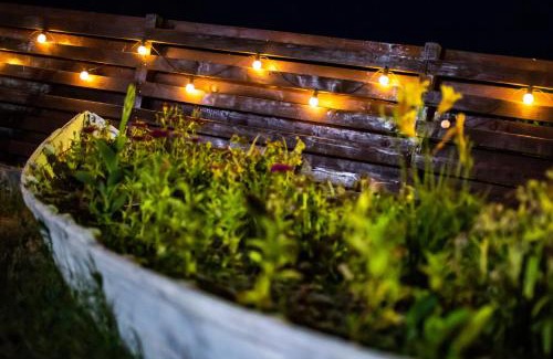 Sfantu Gheorghe Hotel | ZEN Eco Villa