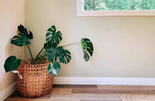 Davis Bay House | Zen one-bedroom suite next to the forest. Walkable to beach!