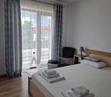 Talmaciu Hotel | Zen