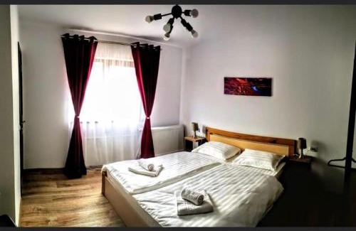 Talmaciu Hotel | Zen