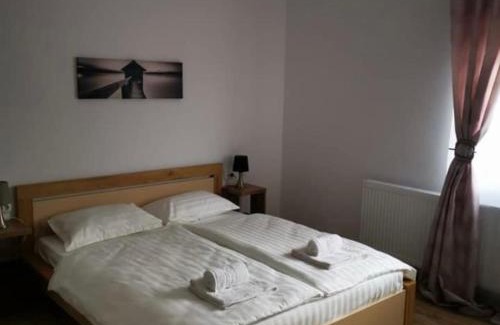 Talmaciu Hotel | Zen