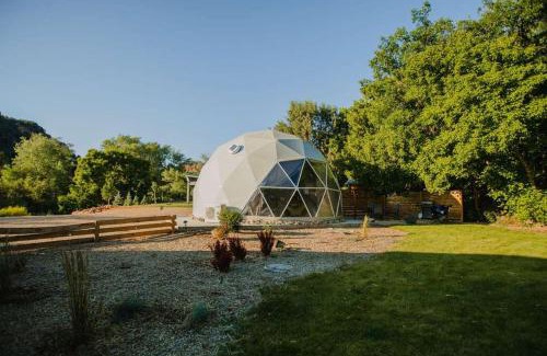 Glendale House | Zen Zion Evergreen Dome