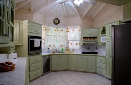 Paynes Bay House | ZenBreak Marzalea Villa 2bd