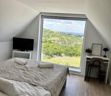 Pusztavacs Apartment | ZeNova Vendégház