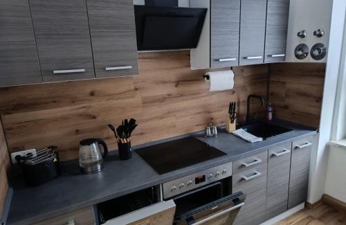 Chemnitz Apartment | Zentral gelegen und voll ausgestattet