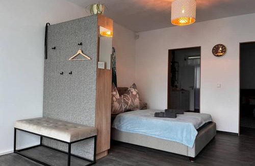 Offenburg Apartment | Zentrale Stadtwohnung, Bahnhofsnähe, OG-Krankenhaus, OG-Messe, EuropaPark