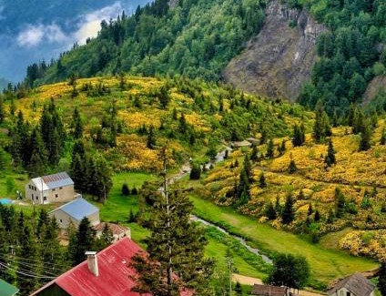 Salpazarı Villa | Zifin dağ evi