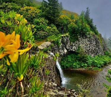 Salpazarı Villa | Zifin dağ evi