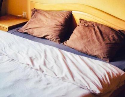 Sofia Hotel | Zlatna ribka