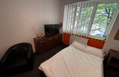 Tirgu Mures House | ZLM Ultra Central Room