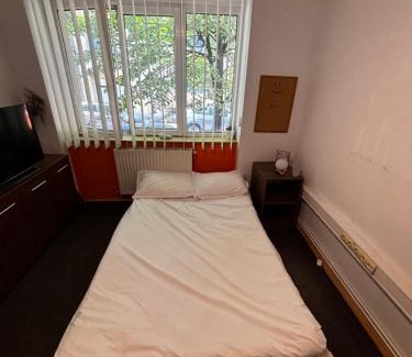 Tirgu Mures House | ZLM Ultra Central Room