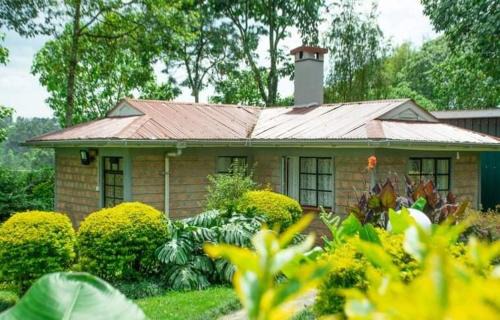 Kericho Apartment | Zoe Homes Country Cottages 1bedroom Green square