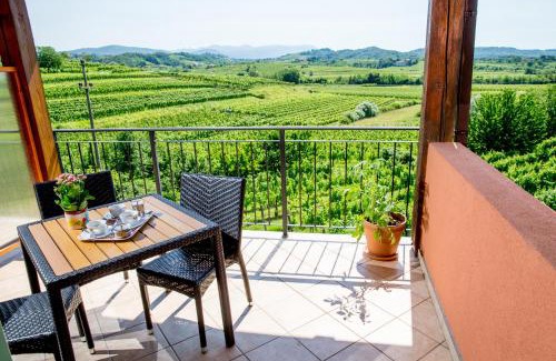 Brda Apartment | Zoi Apartments