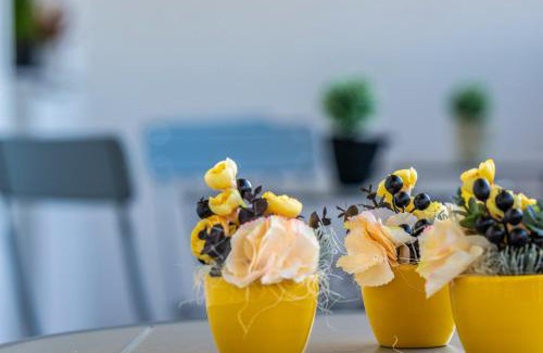 Zsorifurdo Hotel | Zsóry Liget Hotel & Spa Superior