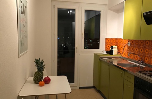 Alt-Wiedikon Apartment | Zurich Furnished Apartments